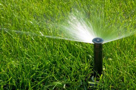 Is Your Lawn Thirsty? Common Signs You Need Irrigation Repair