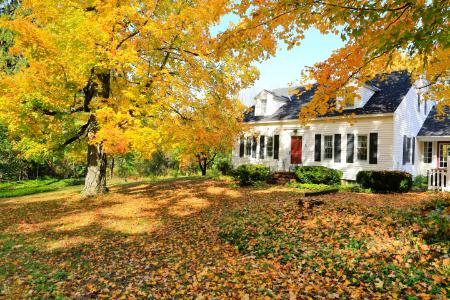 Leaf removal lynn ma